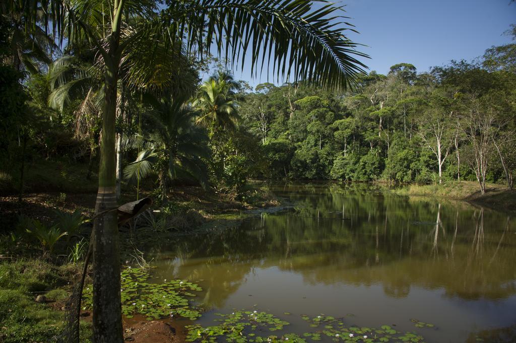 La Laguna Del Lagarto Eco-Lodge Pital  Exterior foto