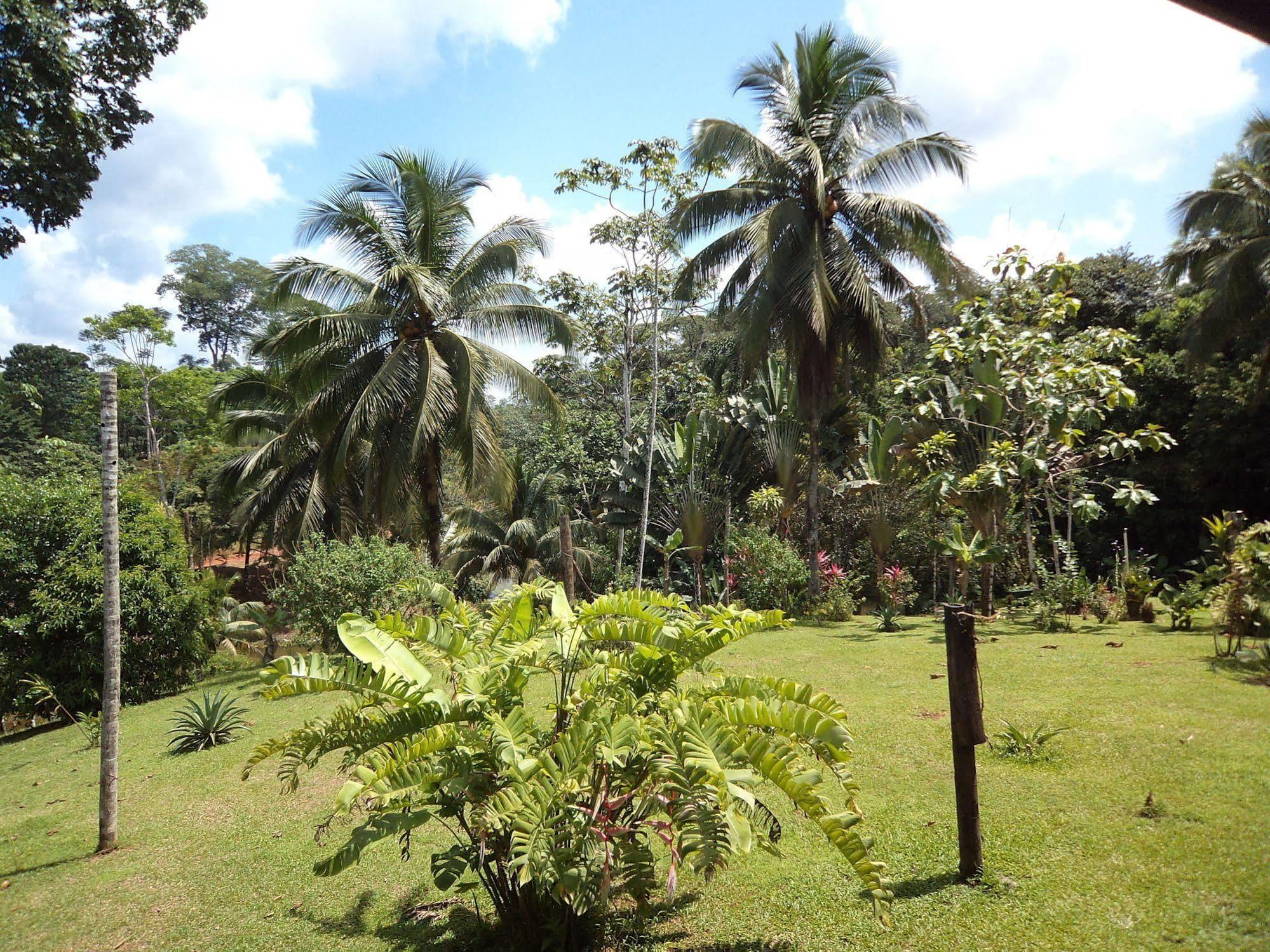 La Laguna Del Lagarto Eco-Lodge Pital  Exterior foto