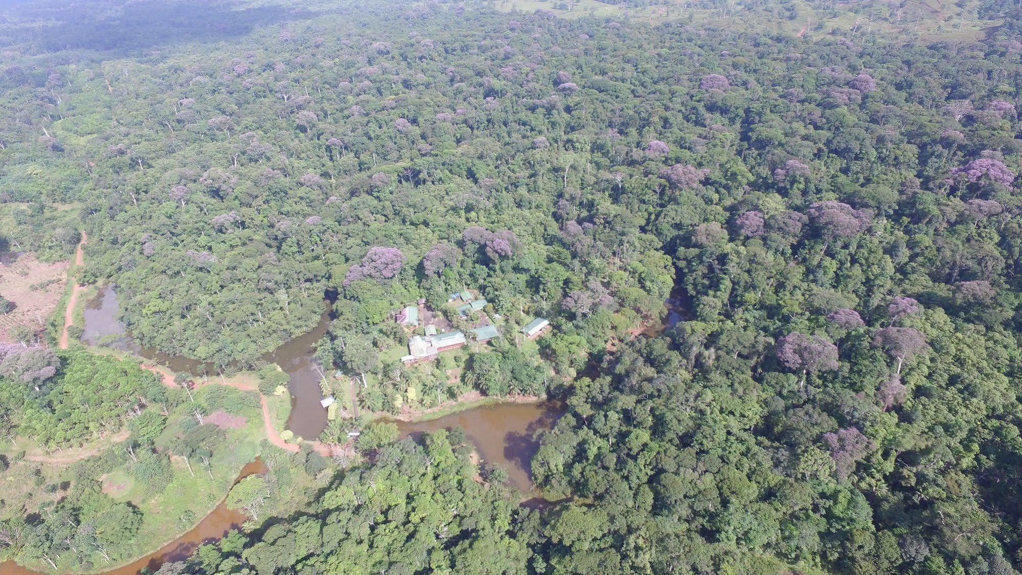 La Laguna Del Lagarto Eco-Lodge Pital  Exterior foto